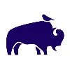 Bison & Bird Bison & Bird