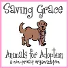 Saving Grace Animals for Adoption Saving Grace Animals for Adoption