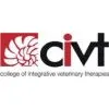 CIVT