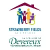 Strawberry Fields Inc. Strawberry Fields Inc.