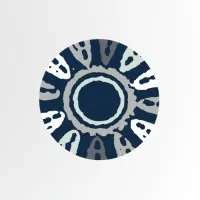 Diversity Focus Diversity Focus