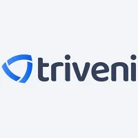 Triveni Global Software Services LLP