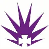 Australian Nursing and Midwifery Federation - SA Branch Australian Nursing and Midwifery Federation - SA Branch