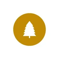 Arbor Drift Designs LLC