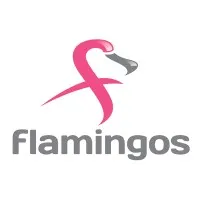 Flamingos
