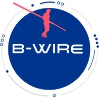 B-Wire