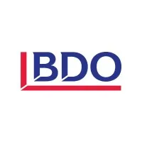 BDO Argentina email format