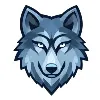Wolf Technology Group Wolf Technology Group