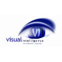 Visual Intelligence, LLC