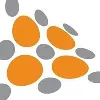 Shape Services Limited Shape Services Limited