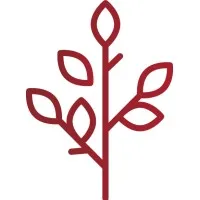 Montara Wealth Montara Wealth