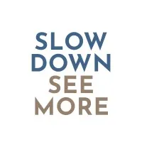 Slow Down See More