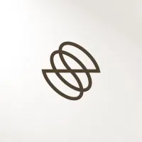 SWAN Financial Technologies