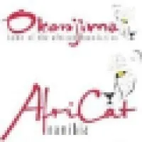 AfriCat and Okonjima Namibia email format