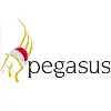 Pegasus Software Pegasus Software
