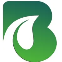 BeingMash Services (BMS) BeingMash Services (BMS)