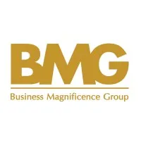 BMG Advisory and Consultant