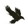 RavenTek RavenTek
