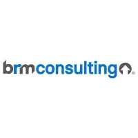 brm consulting (Business Risk Management Consulting SC) brm consulting (Business Risk Management Consulting SC)
