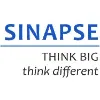 Singapore Institute for Neurotechnology (SINAPSE) Singapore Institute for Neurotechnology (SINAPSE)