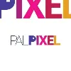 Palpixel Private Limited Palpixel Private Limited