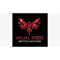 Visual Birds Studio Pvt. Ltd. Visual Birds Studio Pvt. Ltd.