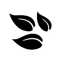 Dr. Kells' Weight Loss