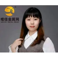 Hebei Weijia Metal Mesh Co., Ltd Hebei Weijia Metal Mesh Co., Ltd