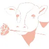 Milk and Rose Milk and Rose