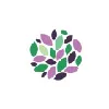 Northeast Allergy, Asthma & Immunology Northeast Allergy, Asthma & Immunology