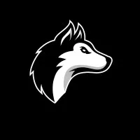 Husky Volleyball Club, LLC