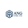 ANG Consulting