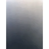 eXp Realty of California, Inc