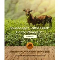 Shubhmohan Enterprises