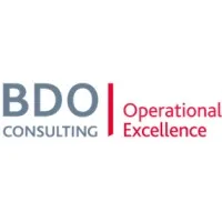 BDO Operational Excellence