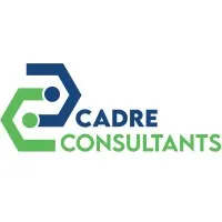 Cadre Consultant Officials