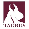 Taurus Investment Holdings, LLC