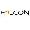 Falcon Management Partners