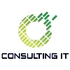 Consulting IT Consulting IT