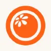 OrangeYouGlad OrangeYouGlad