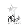 Silver Lining Co