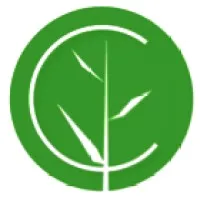 Cornerstone Psychological Services Cornerstone Psychological Services