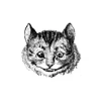 Curiouser LLC
