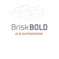 BriskBold AI & Automation