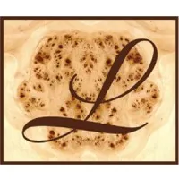 Leader LLC Interior Fitout Furnishing (Juma Al Majid Holding Group L.L.C)