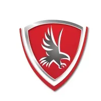 Falcon Insurance Group LLC
