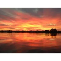 Action Solutions Inc.