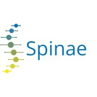Spinae