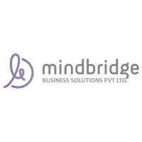 Mindbridge Business Solutions