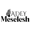 Adey Meselesh GmbH Adey Meselesh GmbH